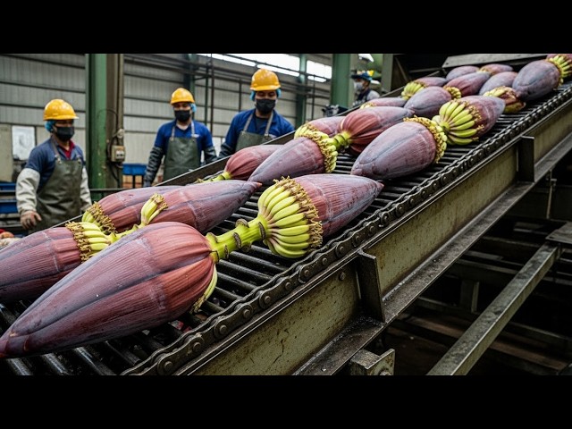 I Found The World's Most Satisfying Factory Processes