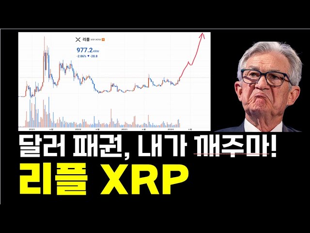 리플 3가지 필수 재료