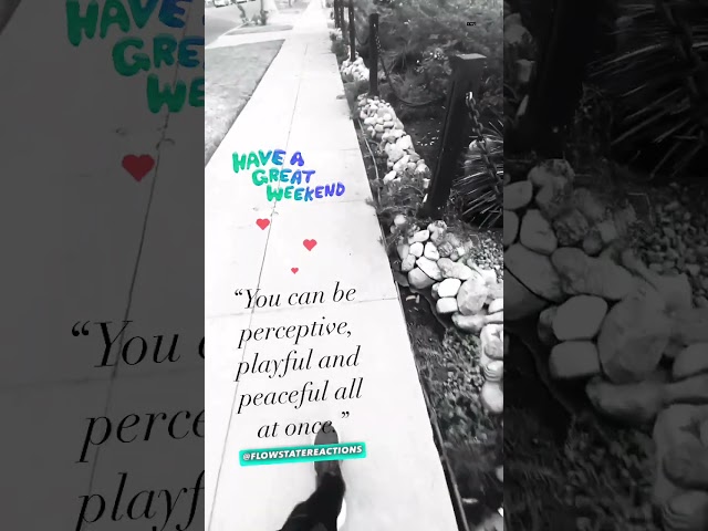 QUICK POWER-UP: You can be perceptive, playful and peaceful all at once. Let's Flow! 🥰