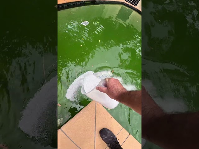 Satisfying Green Pool Cleaning PART 2