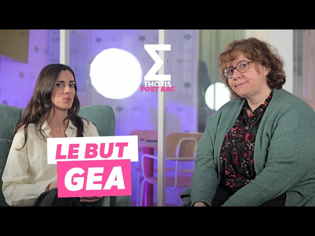 Tout savoir sur le BUT GEA