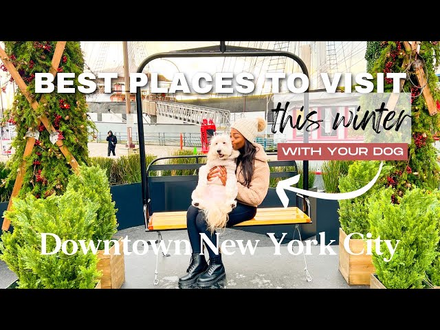best PLACES to visit in DOWNTOWN NYC this WINTER (and your DOG can come too) | vlogmas ep. 3