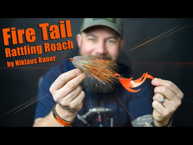 Fire Tail Rattling Roach - Niklaus Bauer