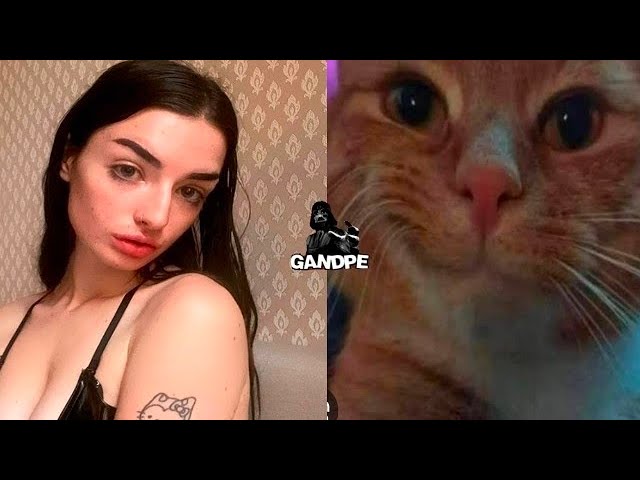 VIDEOS RANDOM #616 |VIDEOS DE RISA| SI TE RIES PIERDES|SHITPOST|MEMES