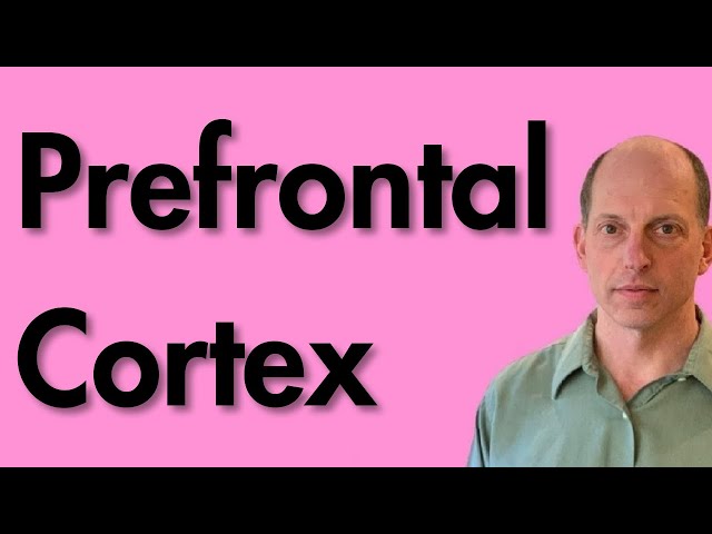 Prefrontal Cortex and ADHD