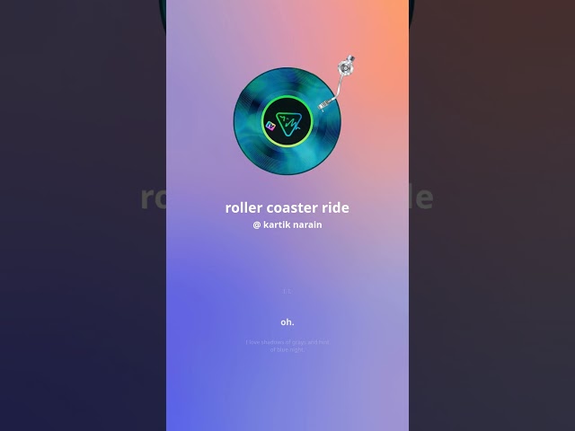Roller coaster ride 