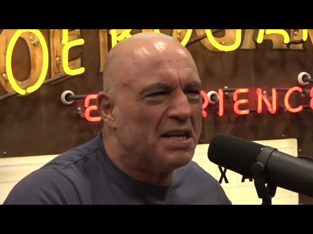 Joe Rogan on AI, Universal Basic Income & the Future of Work