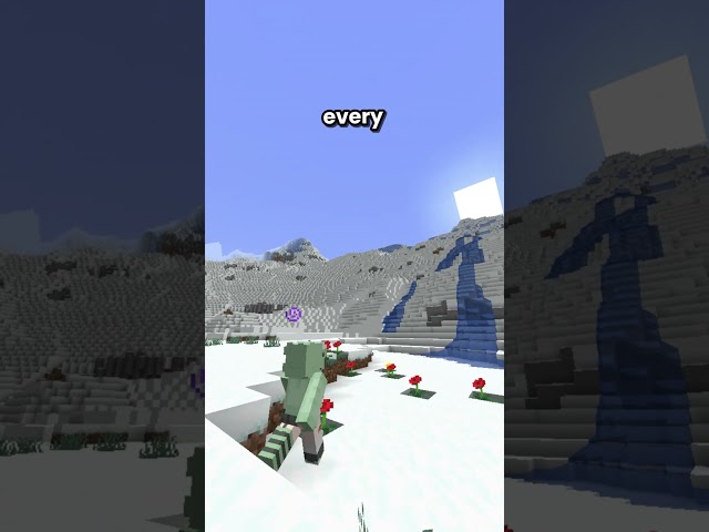 This server's world reset by itself?! 🧐🫨 #minecraft #minecraftsurvivalseriesepisode1 #mcyt