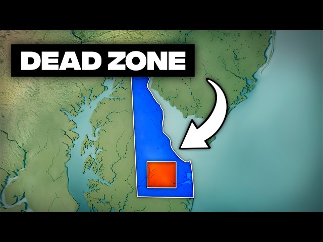 Delaware Has a Secret Nobody Talks About
