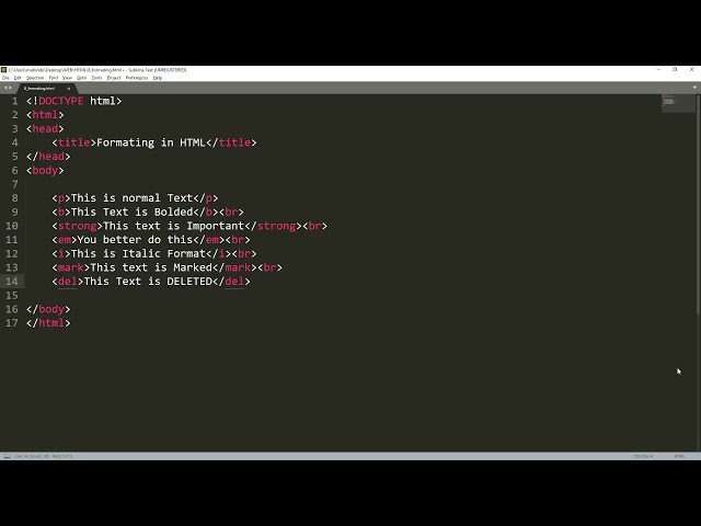 HTML Lecture 8 |Text Formatting in Html | Web Development Course