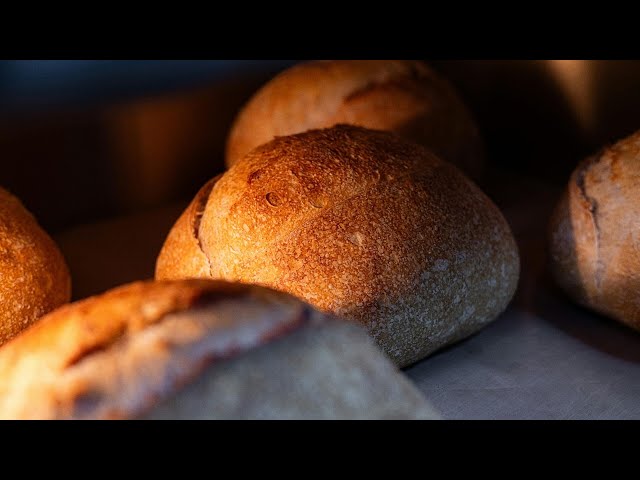 8,000-year-old wheat imprint in Georgia reshapes origins of bread wheat, scientists say