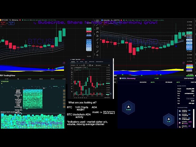Charts and Chains watch LIVE 24/7 - educational chart and chain watch - BTC - ADA - NIGHT