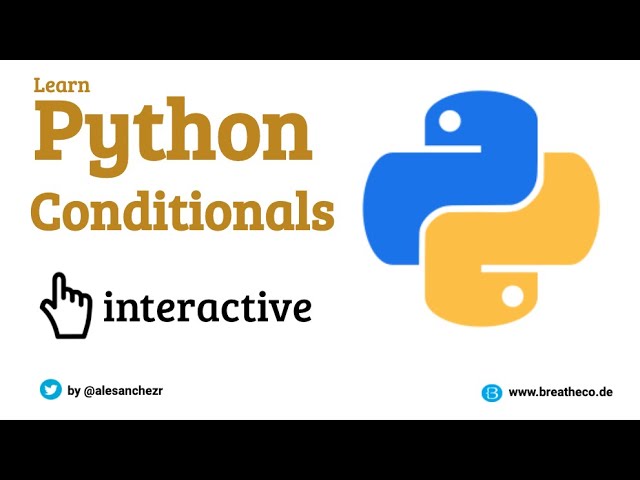 08 Python Conditionals - Python Tutorial for Beginners (Interactive and Auto-graded)