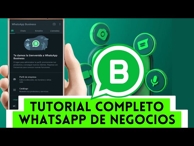 🟢 Tutorial de WhatsApp Business 2024 para no expertos - Guía completa y fácil de seguir