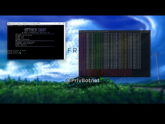 Private C2 VS Home Ip / Best Botnet / C2 / Stresser In 2025-2026 ! Best Bypasses