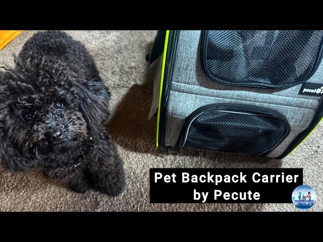 Pecute Expandable Pet Backpack Carrier Review 🐾 | Best Travel Bag for Pets?