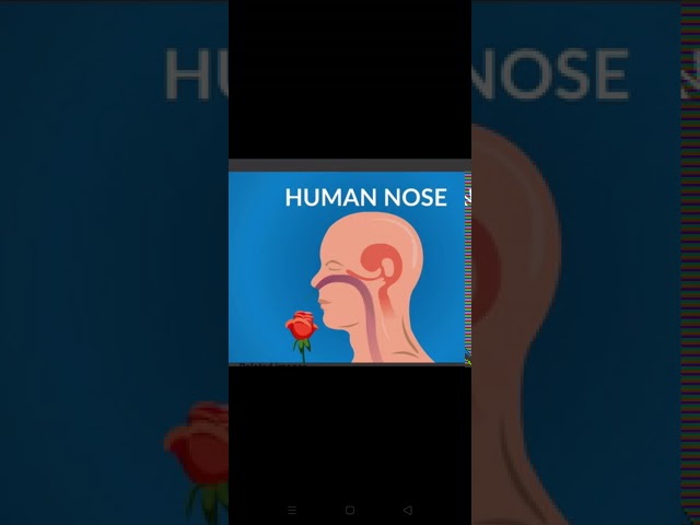 PTB Science Book Grade 6 Chapter 2 page 21 Topic: THE NOSE