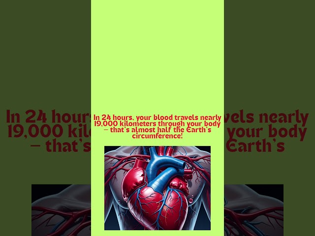 🫀 Your Blood Travels the World… Every Day! #shorts #brainbytes