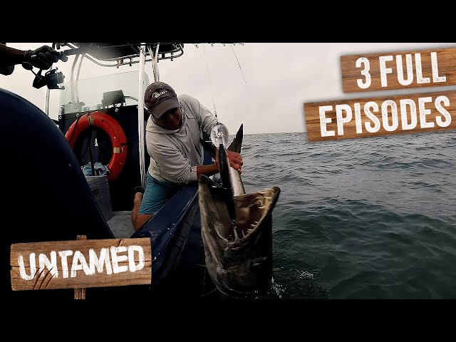 2 Hours Of The Most Insane Fish Catches | Fishing For Giants Marathon