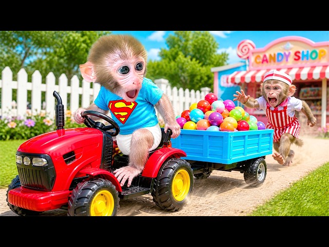 Monkey Bon Bon bought colorful balls for the festival and went swimming with the ducklings.