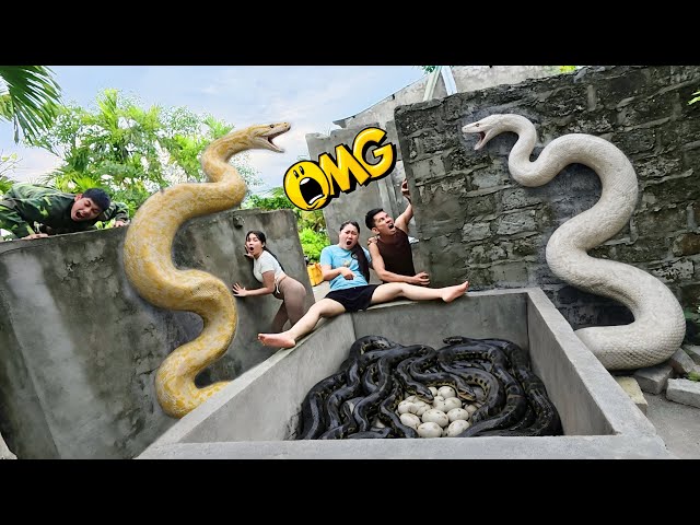 Brave Soldiers Use High-Tech Snake Detector to Rescue Girl from Giant Python Nest in Abandoned House