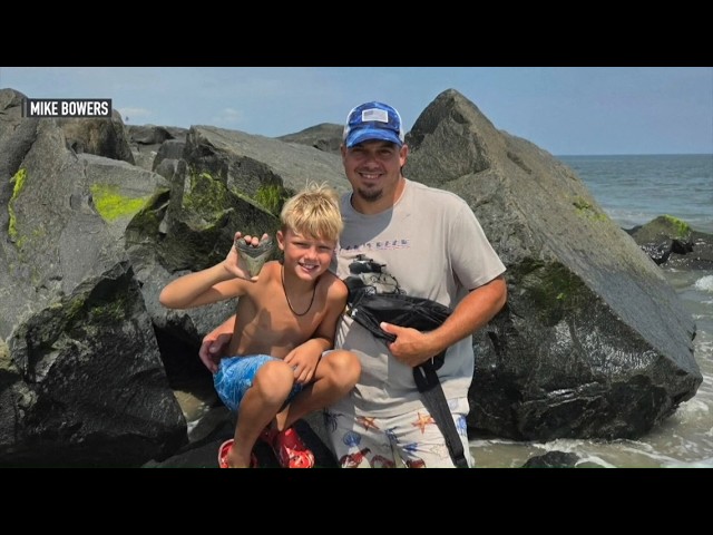 Hunt for shells on beach leads to a jaw-dropping find