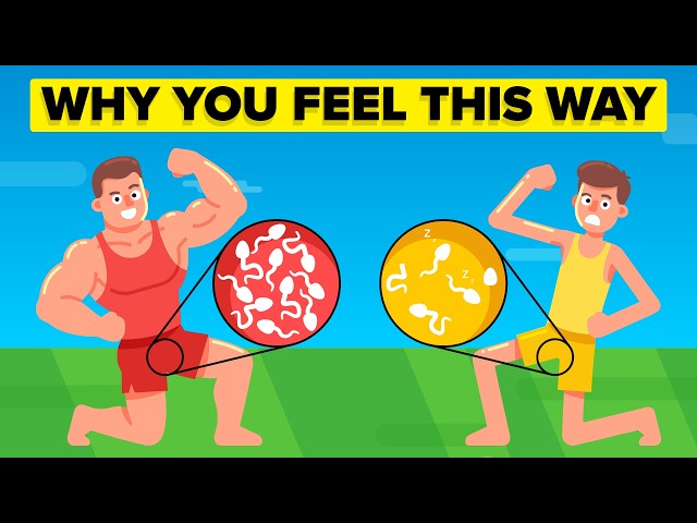 What Low Testosterone Does to Your Body