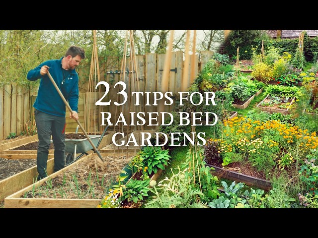 23 Raised Bed Gardening Tips I Wish I Knew Sooner
