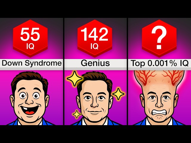 Comparison: Every Level Of Intelligence