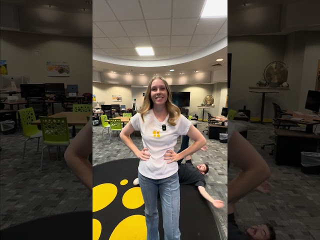 IT Training that gets you Certified and Paid!