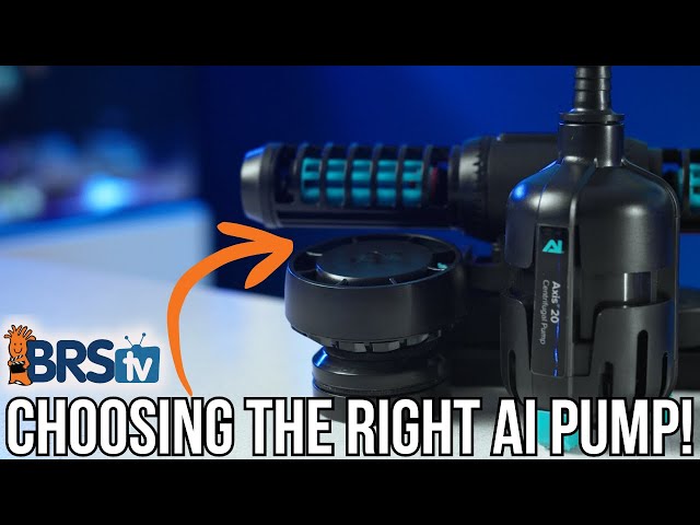 Reef Tank Flow Made Easy with AI Nero, Orbit & Axis Pumps