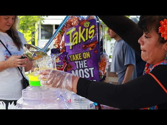 23rd Annual Multicultural Ethnic Dance Festival in Herriman | Official Highlights