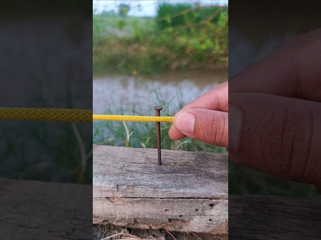Tie Paracord to Nail this Way🪢 #knot #rope