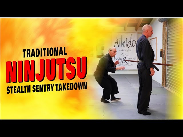 NINJUTSU Basic Techniques - Sentry Stealth Takedown