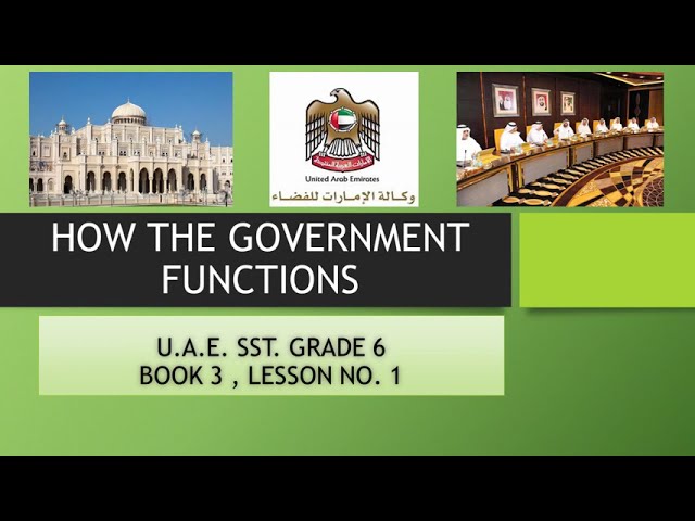 HOW THE GOVERNMENT FUNCTIONS