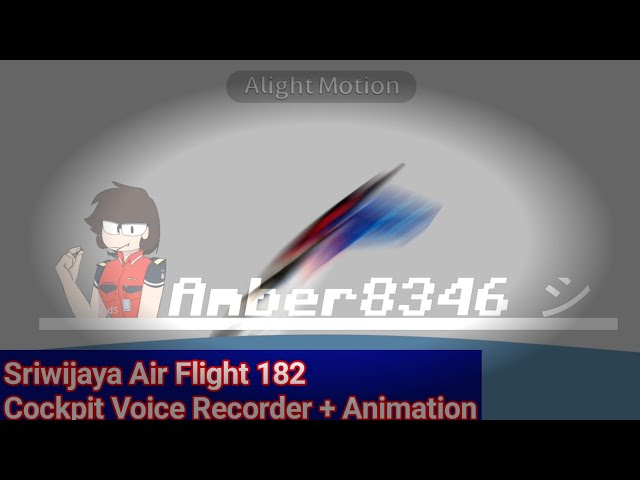 Sriwijaya Air Flight 182 (Cockpit Voice Recorder + Animation)