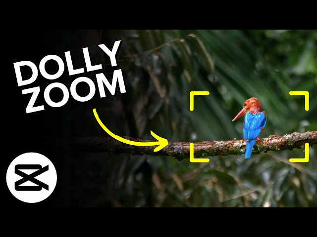 How to Create Dolly Zoom Effect in CapCut