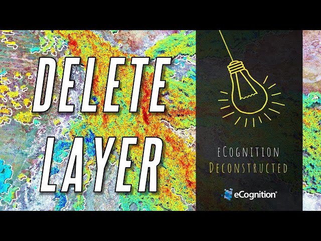 eCognition Deconstructed: Delete Layer
