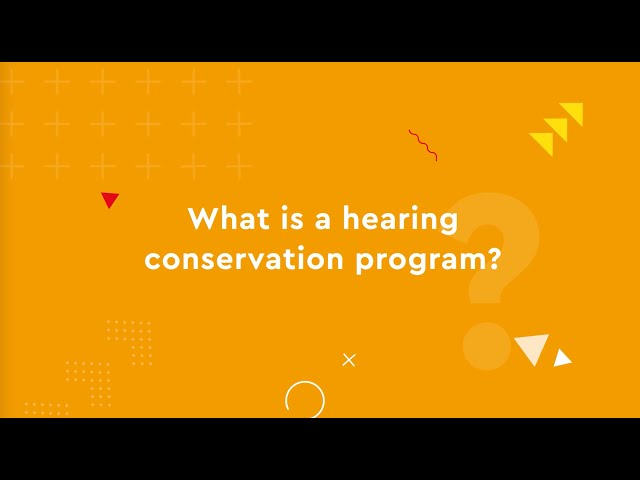 Noise explainer part 3: What Do I Need To Do To Meet The Workplace Noise Regulations