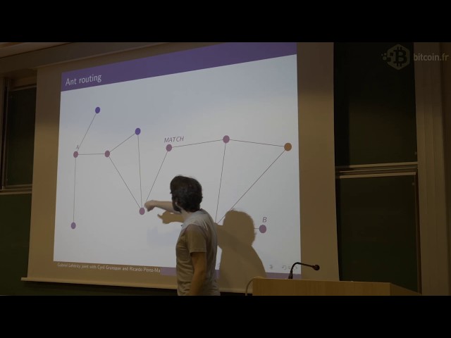 Estimating the capacity of the ant routing algorithm for the Bitcoin lightning network