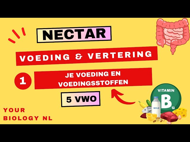5 vwo | Voeding & Vertering | 1 | Voeding en voedingsstoffen