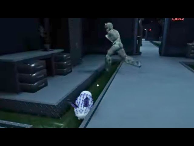 Wall dweller tries to eat my bunny twice | Pressure Worth The Wait Update