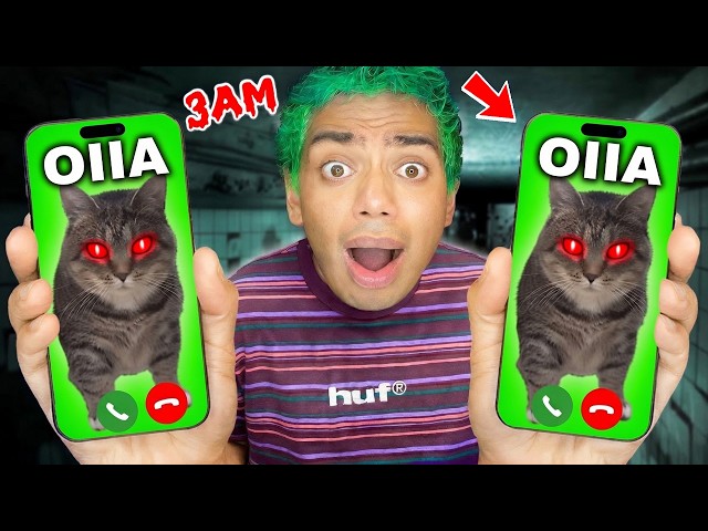 OIIAOIIA CAT is Calling ARCADE CRANIACS - Spinning Cat Meme Remix 2026 !!