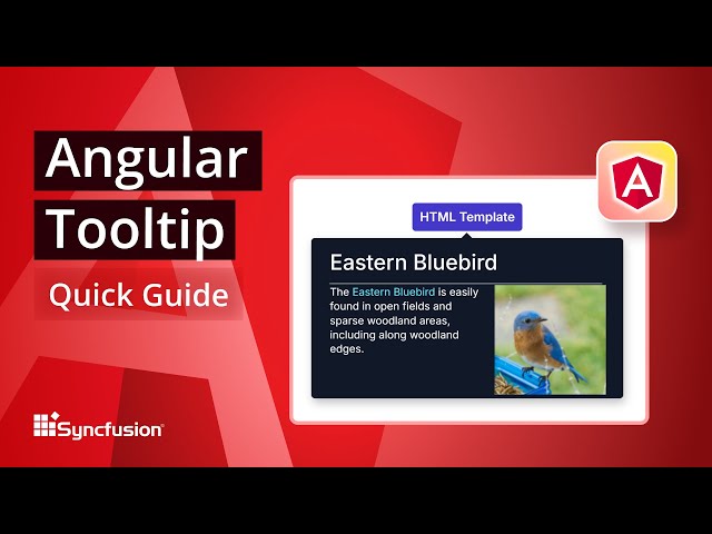 Angular Tooltip: The Ultimate Feature Walkthrough