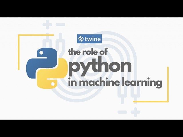 Python Learning Journey Begins (Streaming Day 3)