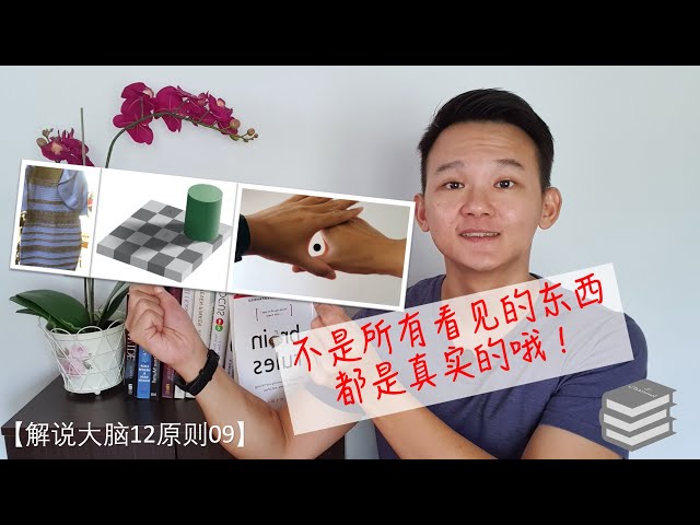 【解说大脑12原则09：视觉】你看到的世界是100%真实客观的吗？你的视觉系统其实一直都在“骗”你哦！