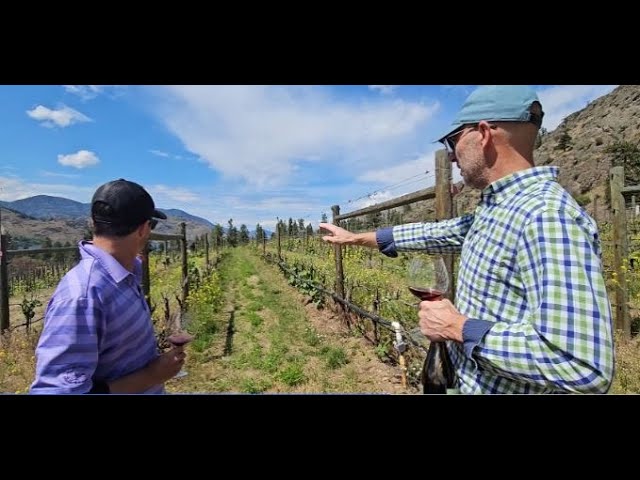 Meet Shay Code of CODE Wines!