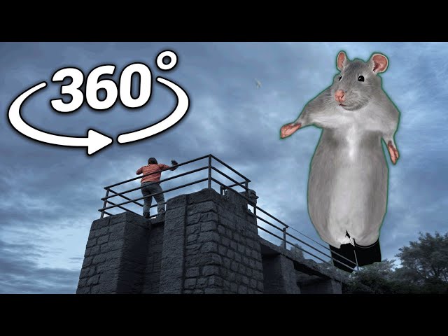 360° GIANT Rat Dance | ( Rat dance meme )