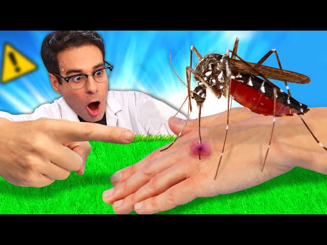 ME PICÓ UN MOSQUITO Y LO ABRÍ POR LA MITAD para ver qué hay dentro