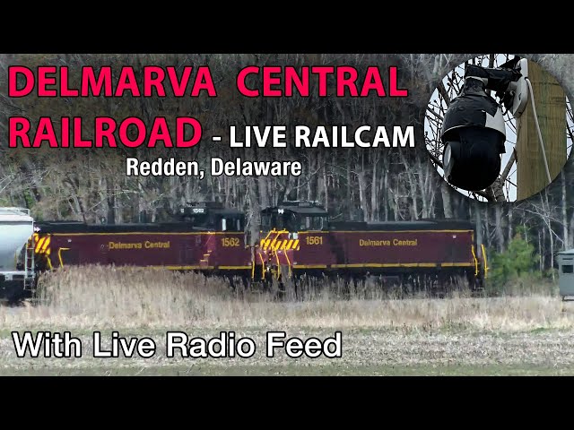 Delmarva Central Railroad Live - Redden, Delaware